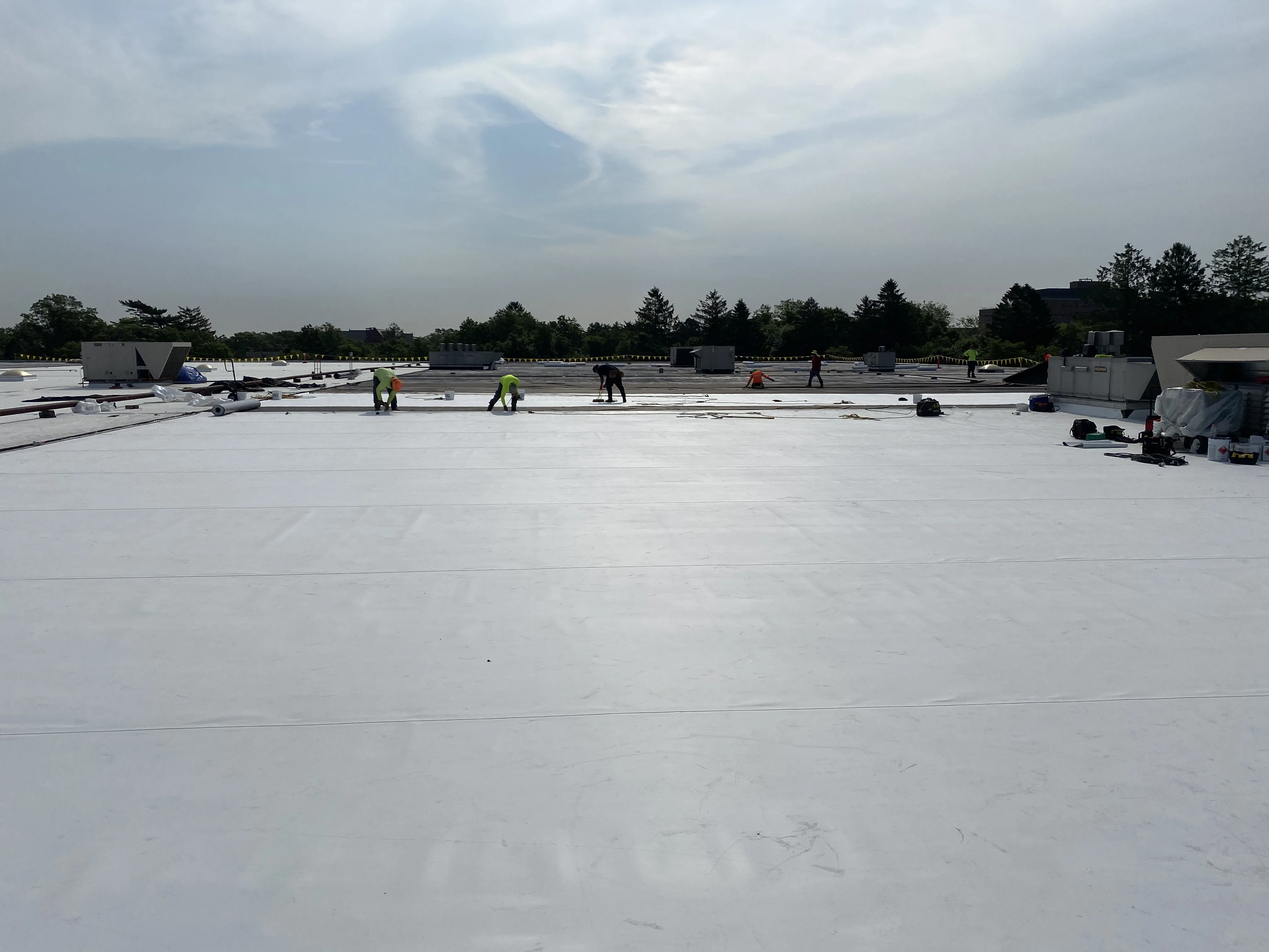 Cipla Pharmaceutical project — photo 8