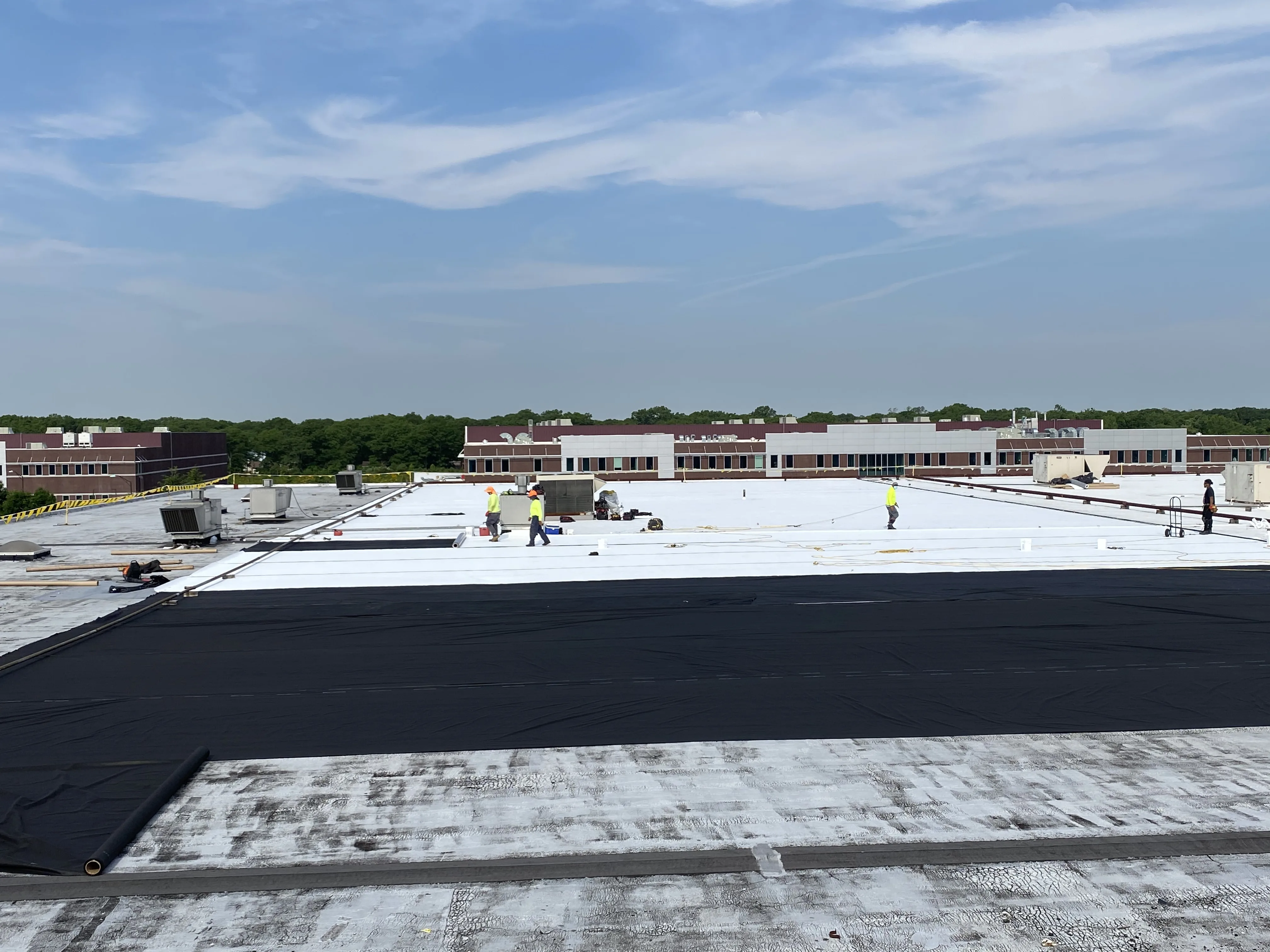 Cipla Pharmaceutical project — photo 7